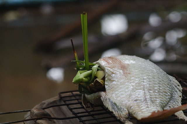 Conosci il potenziale della tilapia?